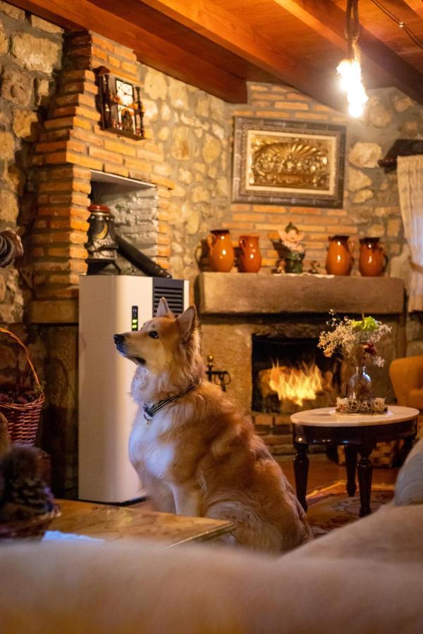 La Herradura Guest house